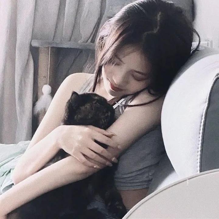 阿曼达与小狐狸